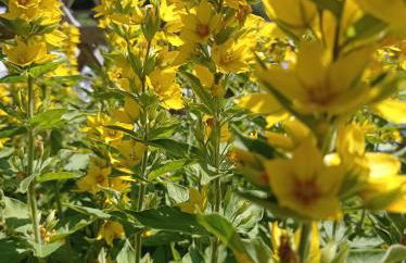 Appartament Anna 4 - Foto 21