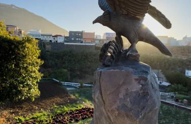 Finca Pico - Foto 50