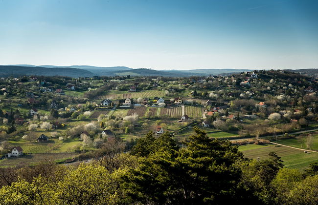 Balaton View From Almadi - Foto 53