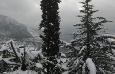 Parco Sogni d'Oro - Photo 25