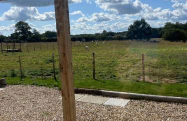 Apple Blues Farm - Foto 9