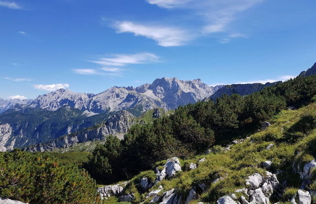In het Blauwe Huis - Zolderverdieping - Foto 37