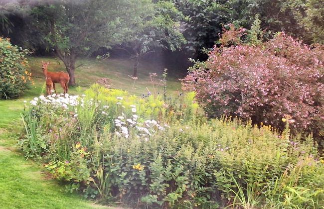 Luxurious Entire Studio in Axminster Suitable for - Foto 15