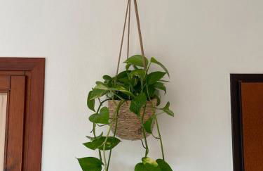 El Bello Verano - Photo 29