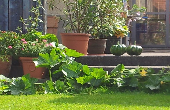 Blue Wall BnB - business apartments - Foto 74