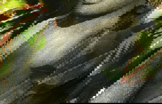 Nusa Indah Villa - Foto 40