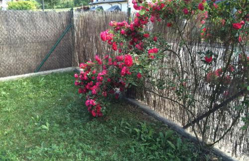 Apartamentos Portal de Ordesa - Photo 6