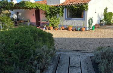 Courela do Monte Novo - Photo 10