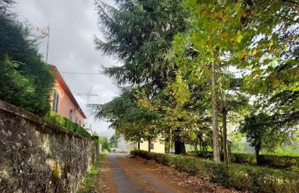 FOGAR CAÑÓN DO SIL - En la Ribeira Sacra - Foto 24