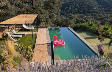 Finca Bravo - Foto 1