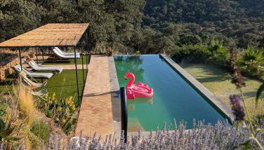 Finca Bravo - Foto 1