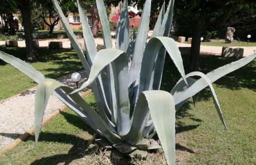 MAS MAURANE-Le Platane avec SPA privé aux portes d'ARLES - Foto 62