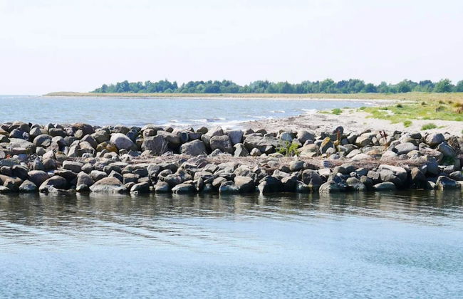 12 Person Holiday Home in Rodby - Foto 51