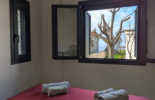 kipaki-trachila Mani - Foto 32