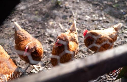 Marsh Farm - Photo 19