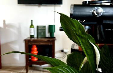 Appartement - Centre historique Montpellier - Foto 8