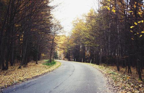 Pod Modrzewiem - Foto 42