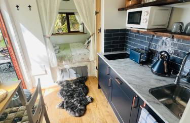 Romantic Shepherds Hut with Hot Tub in The Heart of Snowdonia - Foto 15