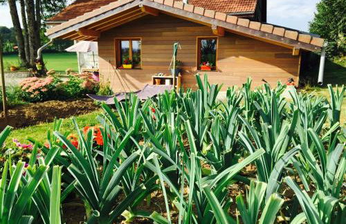 Gîte Les Cigognes - Foto 2