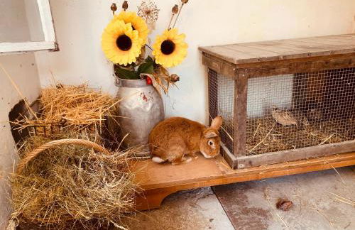 Naturhof Kluge - Foto 62