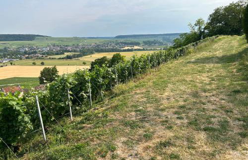 CHEZ BRIGITTE - Foto 30