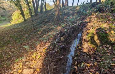 Les Girouteaux Le Fenil - Photo 38