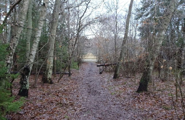 10 Person Holiday Home in Graested-by Traum - Photo 31