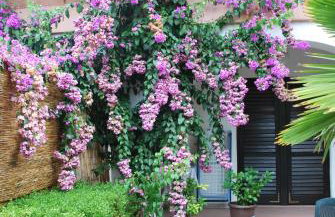 Apartments Barbara - Photo 43