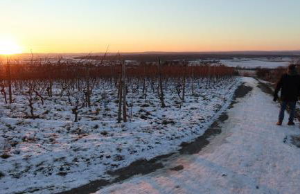 Charmante Ferienwohnung 100 qm - Foto 40