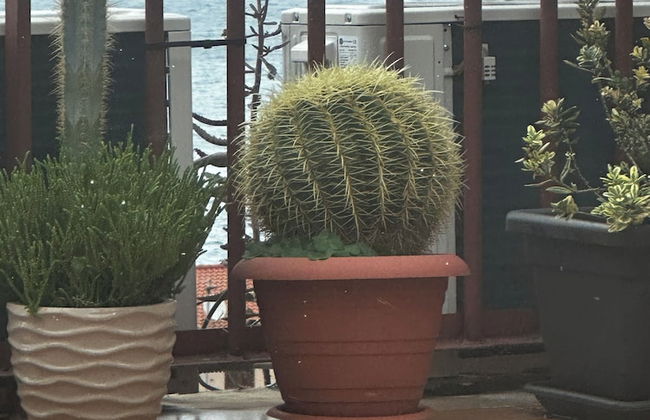 Appartamenti Scilla paese albergo - Foto 10