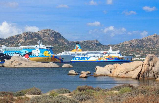 Capo Ceraso Family Residence - Photo 79