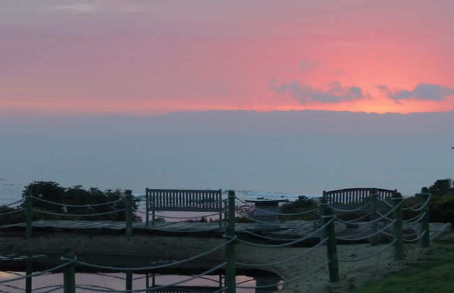 Bear Gully Coastal Cottages - Foto 24