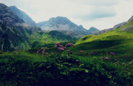 Erholsamer Traumurlaub wo auf Bergen Schlößer wachsen - Foto 17