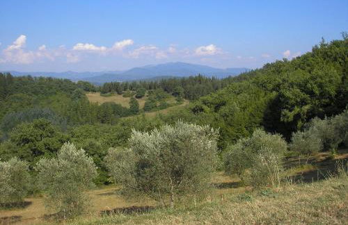 Podere Capitignano - Foto 20