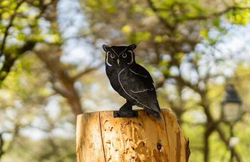 Lodge Grand Confort en Nature - Salle de bain italienne - 10 min A7 - Foto 33