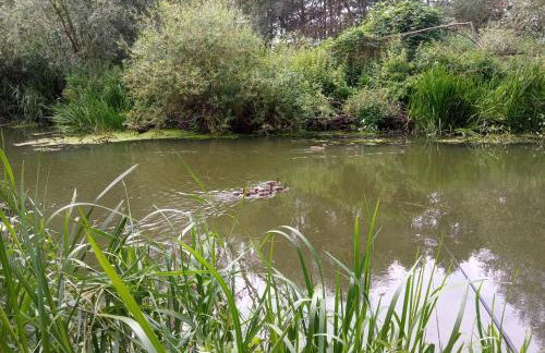 Apartament w Pszczewie nad jeziorem Duży Szarcz - Foto 39