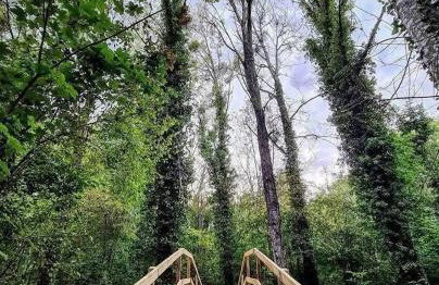 Gîte du Parc des Mauves - Photo 39