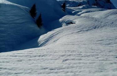 L'appartement LES BOSSONS en lisière de forêt dans le chalet Génépi - Foto 10