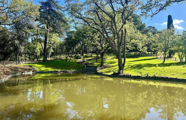 Chateau du Parc Pezenas - Foto 15