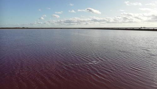 la maison du saunier - Foto 2