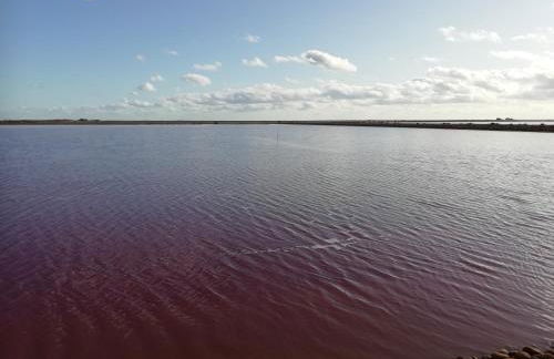 la maison du saunier - Foto 2