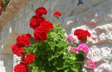 Agriturismo Borgo San Martino - Photo 33