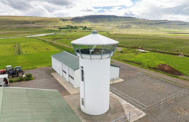 Laugavellir House and Tower Suite - Foto 7