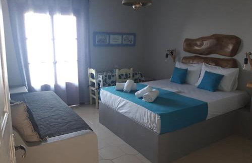 Ammos papanero - Foto 44