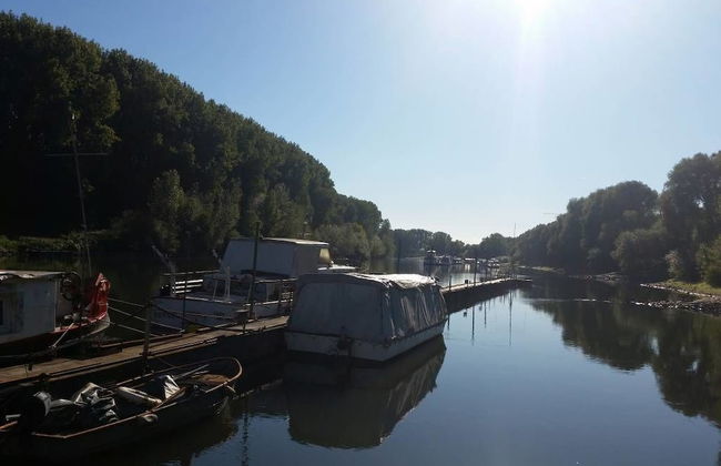 Sportboote Bornheim - Foto 33