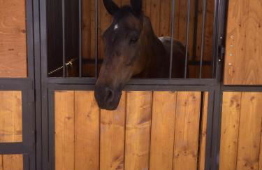 Agriturismo Helianthus - Foto 3