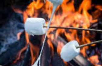 Casa de Campo Recanto Pôr do Sol - Foto 35