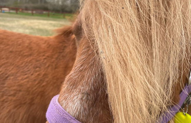 7 Person Holiday Home in Karlskrona - Photo 10