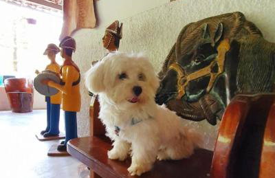 Apt Flat 225 Condomínio Pedra do Rodeadouro - Foto 34