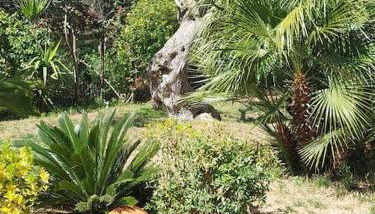 Bill's Garden Villa - Foto 3, Garden